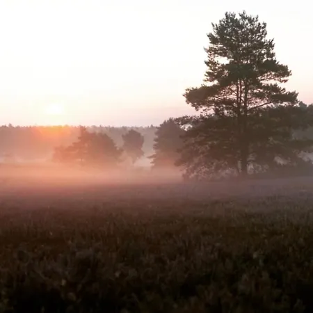 Kaiserhof Hotel Munster im Heidekreis