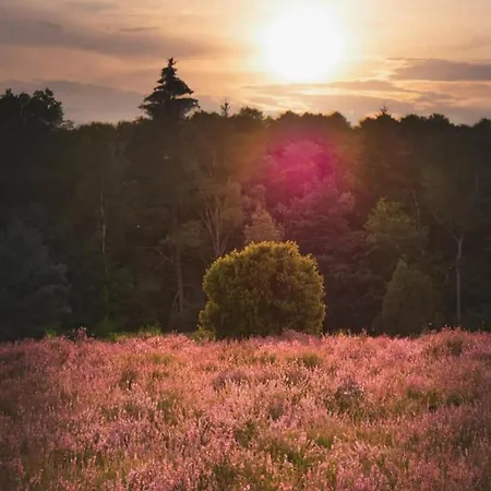 Kaiserhof Hotel Munster im Heidekreis
